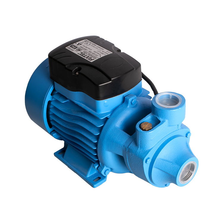 750W 1HP Peripheral Pump from China manufacturer - EBIC Tools