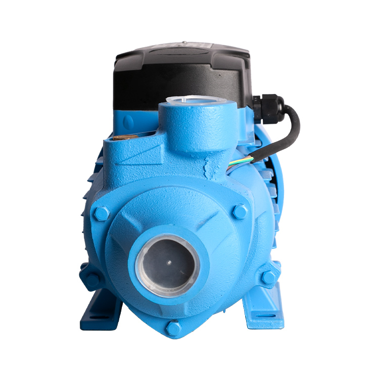 750W 1HP Peripheral Pump