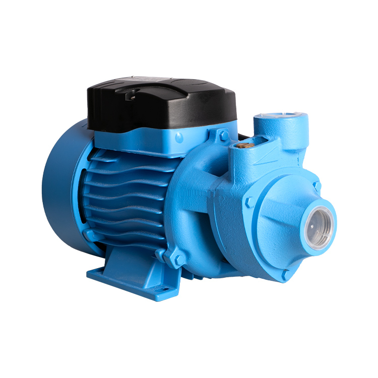 750W 1HP Peripheral Pump